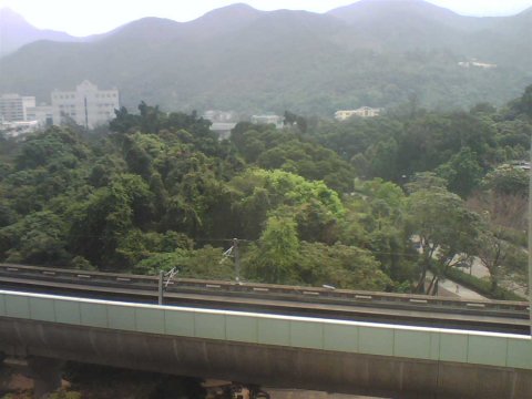 花園城 第01期 雅士苑