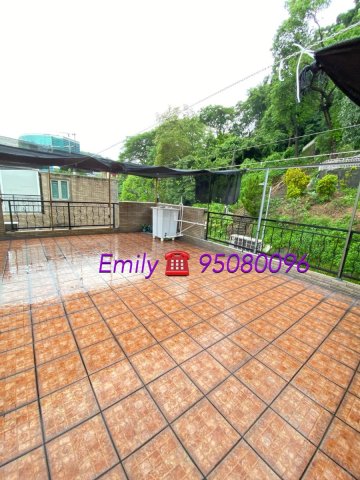 上禾輋村 @ EMILY 95080096