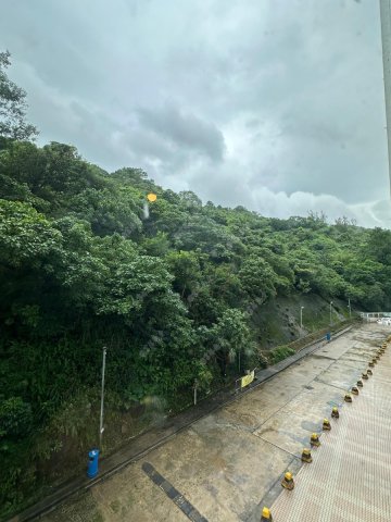 荃威花園 山景