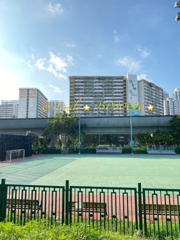 沙田圍舊村 @ EMILY 95080096