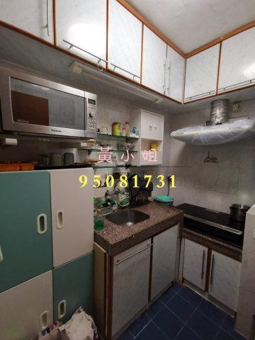 桐梓圍下村  95081731