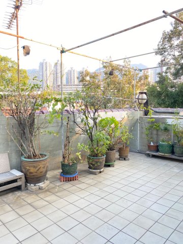 田心村
