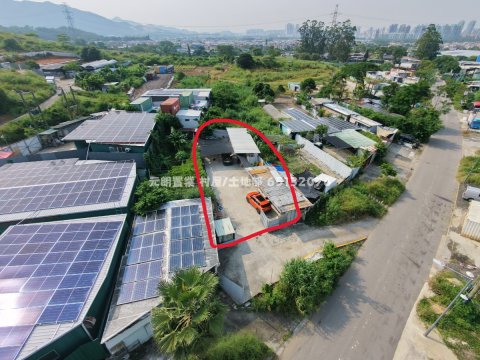 大樹下路邊AGR地