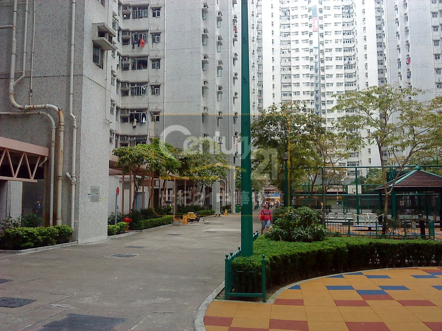 富荣花园 第01期 第13座