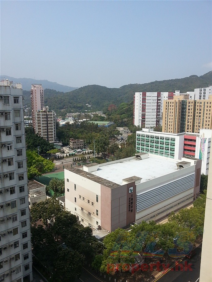 大埔- 翠屏花园