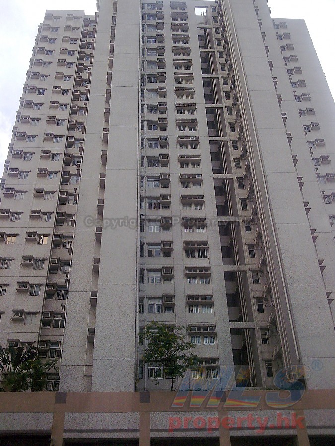 富荣花园 第01期 第16座 - 楼盘搜寻 - 科一物业资讯, 地产资讯, 物业