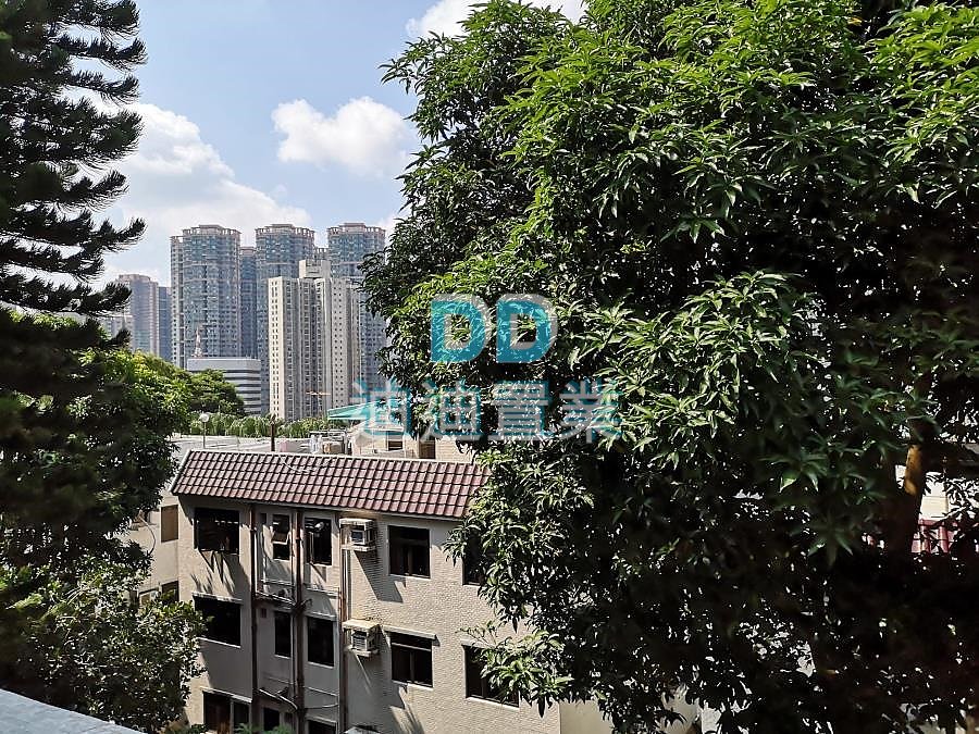 魷魚灣村 位置方便 
