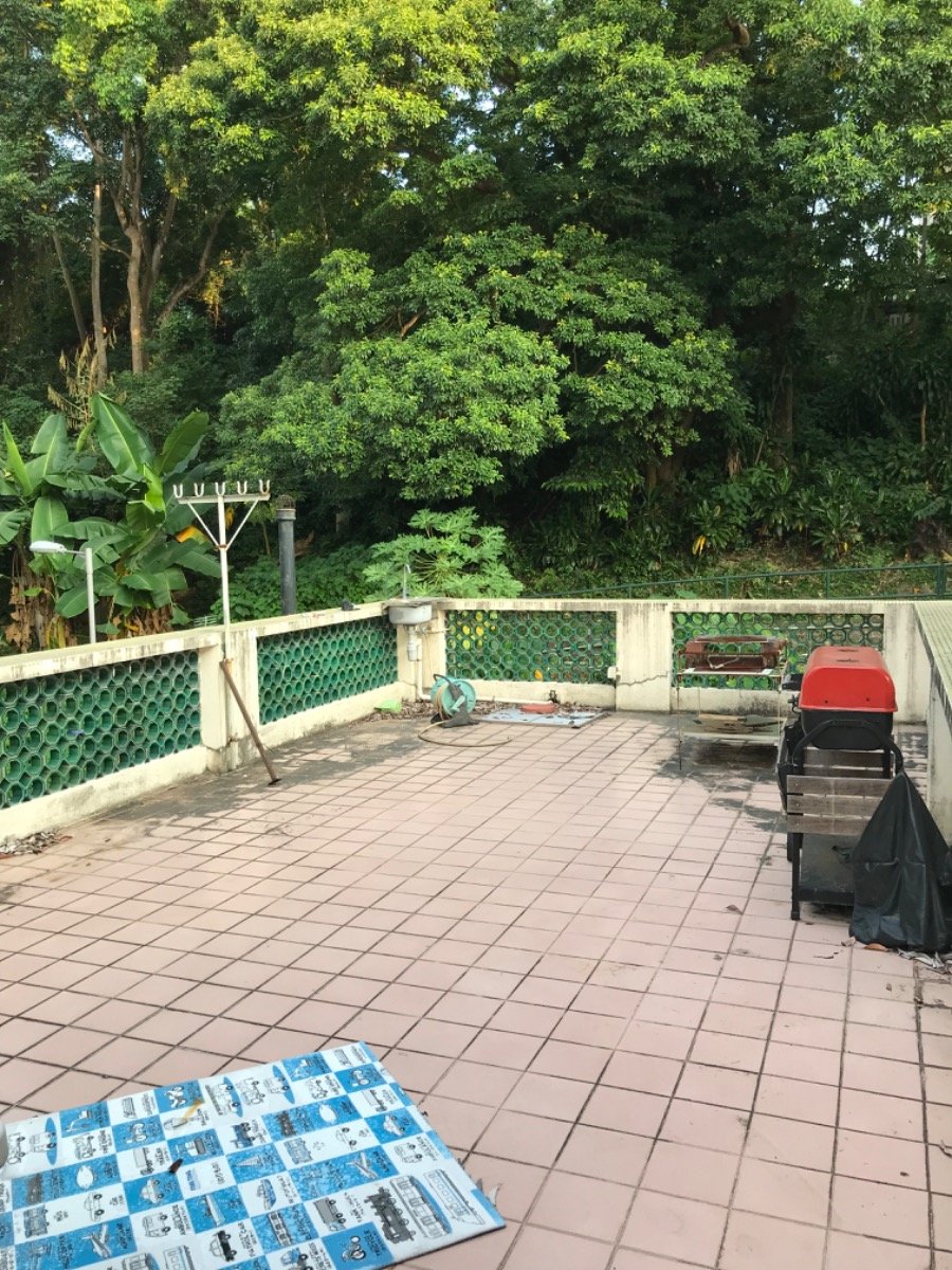沙田围旧村 @ EMILY 950...