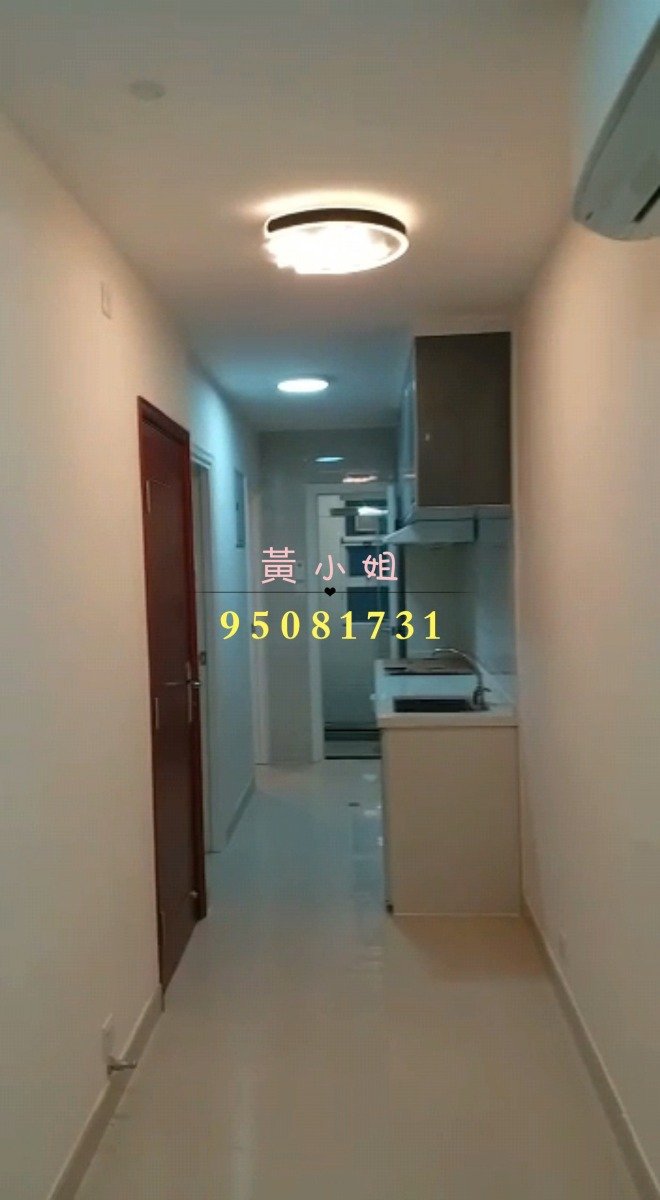 大尾督村  95081731