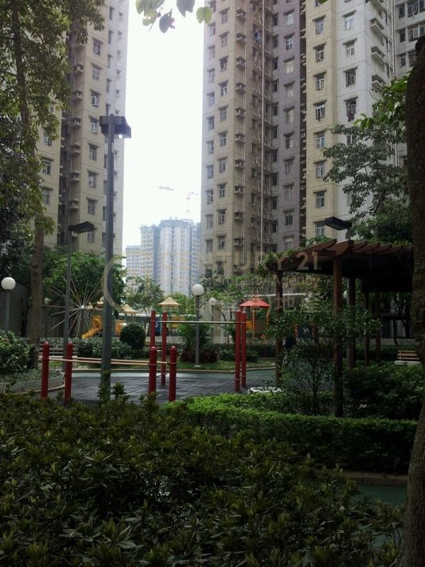 RHYTHM GDN BLK 06 (PSPS)