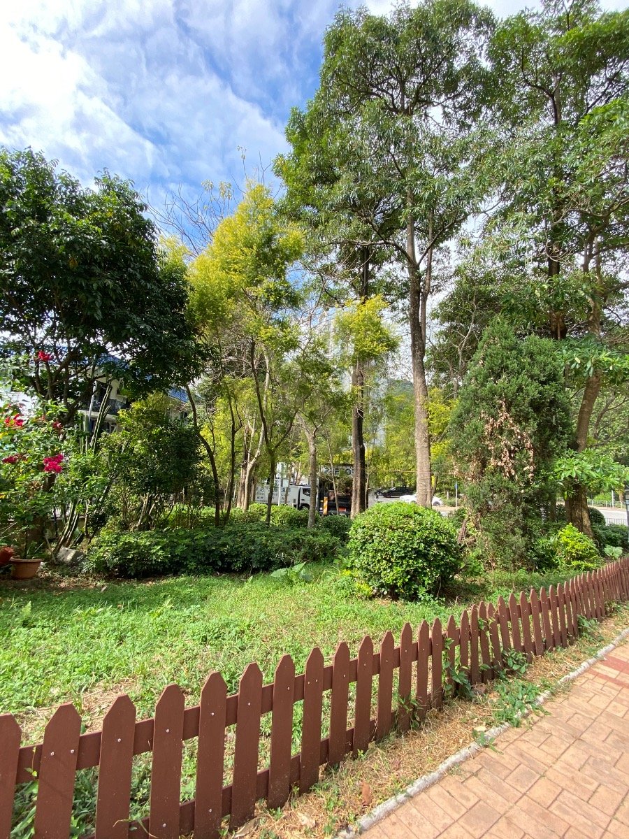 銅鑼灣新村