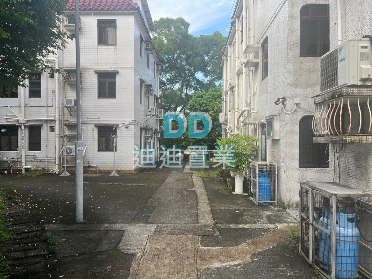 大圍新村