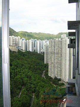 翠竹花园