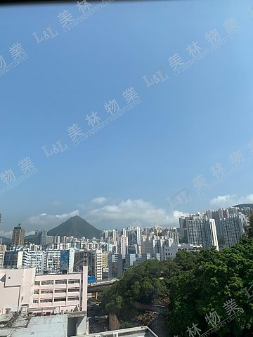 llam.com.hk