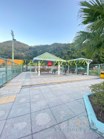 沙田漁民新村 @ EMILY 95080096