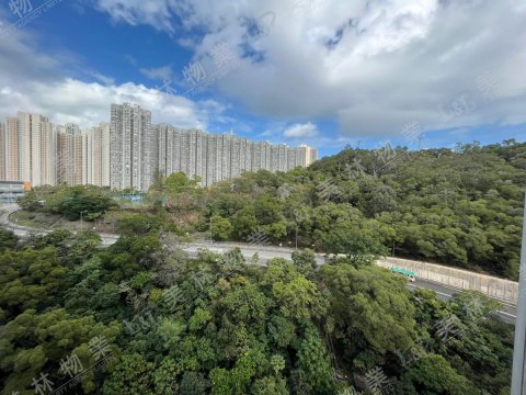 llam.com.hk