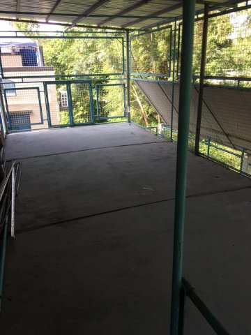 沙田頭