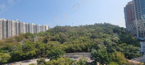 llam.com.hk