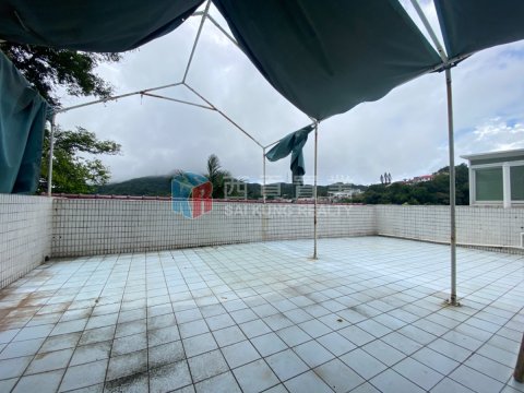 井欄樹村