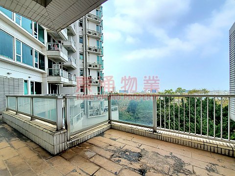 藍天海岸  水藍天岸  特式平台罕有放盤