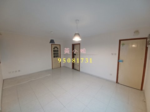 95081731
