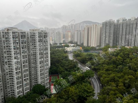 llam.com.hk