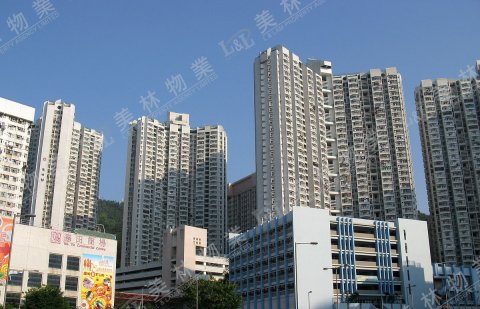 llam.com.hk