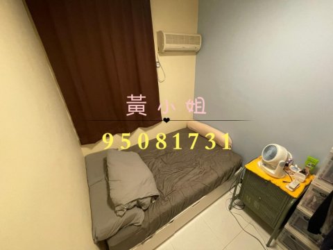桐梓圍下村  95081731