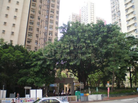 LUNG POON COURT BLK B (HOS)