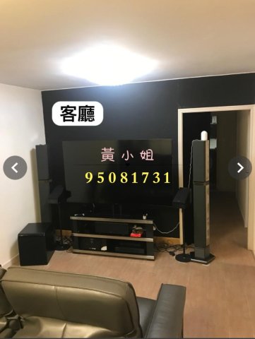 布心排  95081731