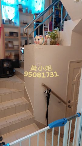 布心排   95081731