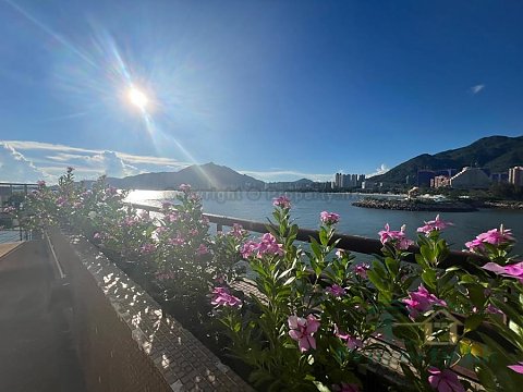 龍珠島花園 