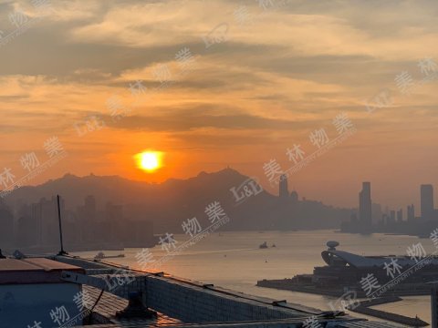 llam.com.hk