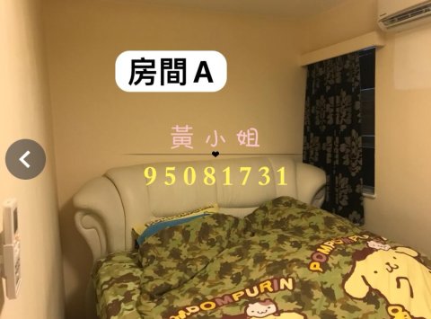 布心排   95081731