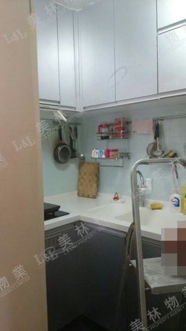 llam.com.hk