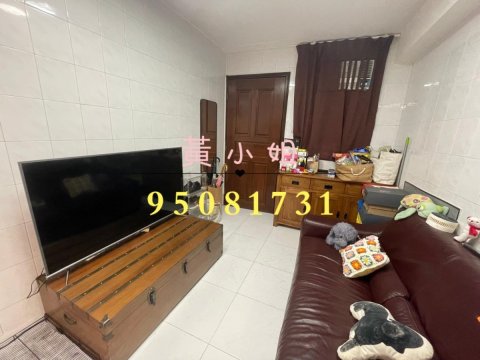 桐梓圍下村  95081731