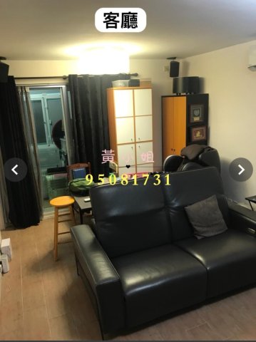 布心排  95081731
