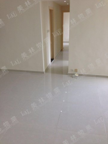 llam.com.hk