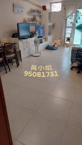 布心排   95081731