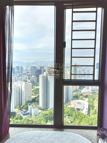 SCENIC VIEW BLK 03