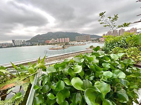 PEARL ISLAND GDN BLK 02