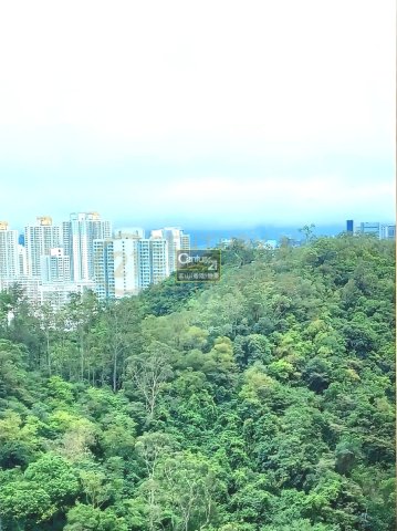 海港花園
