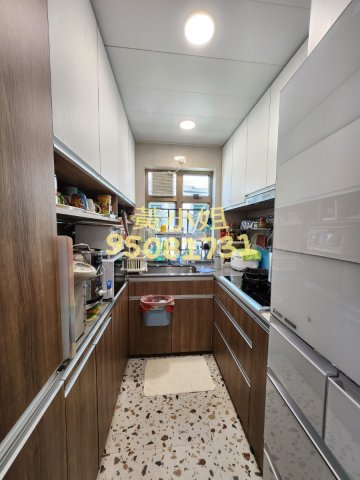 雅麗山莊  95081731