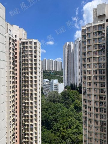 llam.com.hk