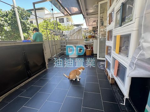 大埔仔村 位置 交通方便 