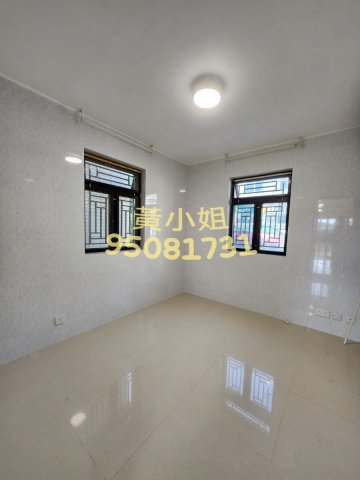布心排  95081731