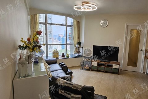 llam.com.hk