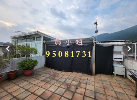 布心排  95081731