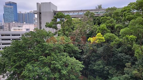 麗港城 
