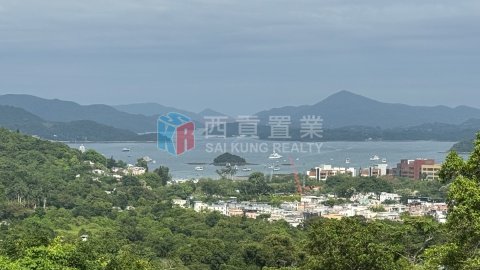 南山村